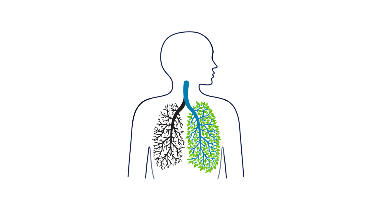 Detox lungs in ayurveda way